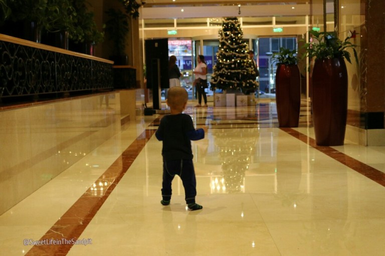 20151210173730_IMG_1444_wm