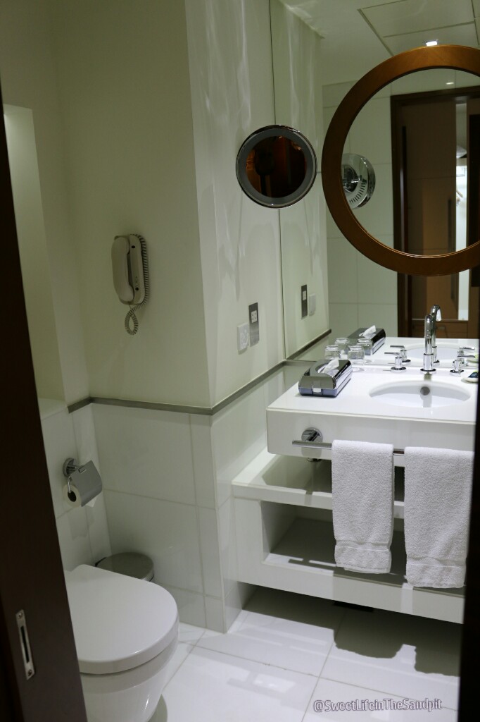 20151210175305_IMG_1460_wm